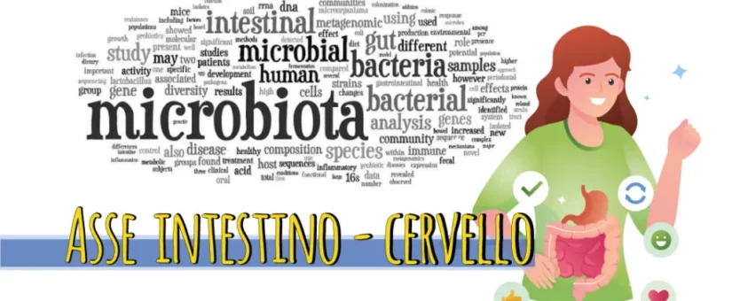 Asse Intestino-Cervello e il microbiota intestinale