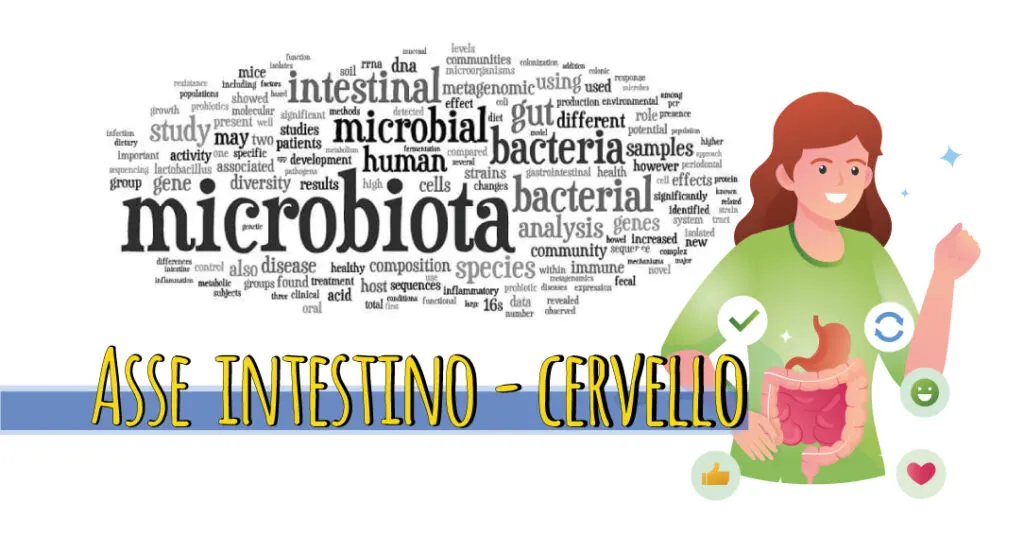 asse-intestino-cervello